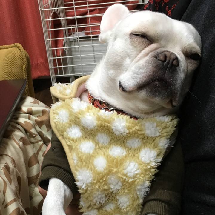 B74f4aca 0a20 4ab6 ac97 9a940ffaae06