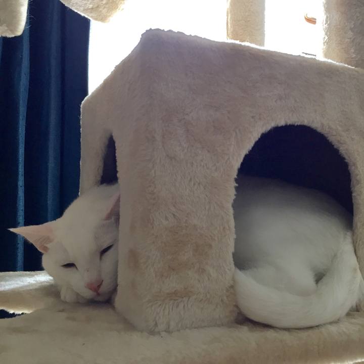 B74fbf38 2d31 48da 80ef 706df9a409bb