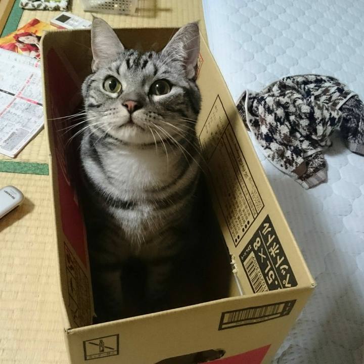 B750ce9d eb66 40bc bd04 9b4e7c48b128