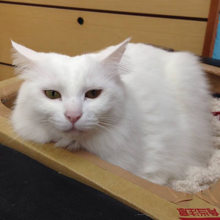 B751b4ca 9e2d 4e67 8088 9ca62dc5a75a