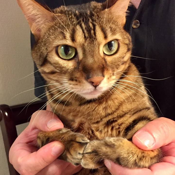 B7529143 f552 479e b228 3bc4b21abb6b