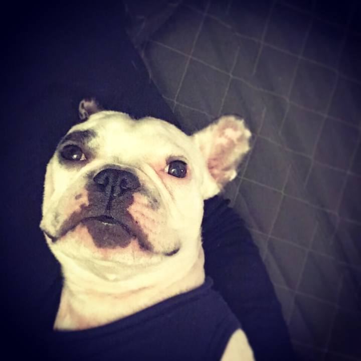 B752e372 0732 4607 9c8d d0be4d1b1cb4