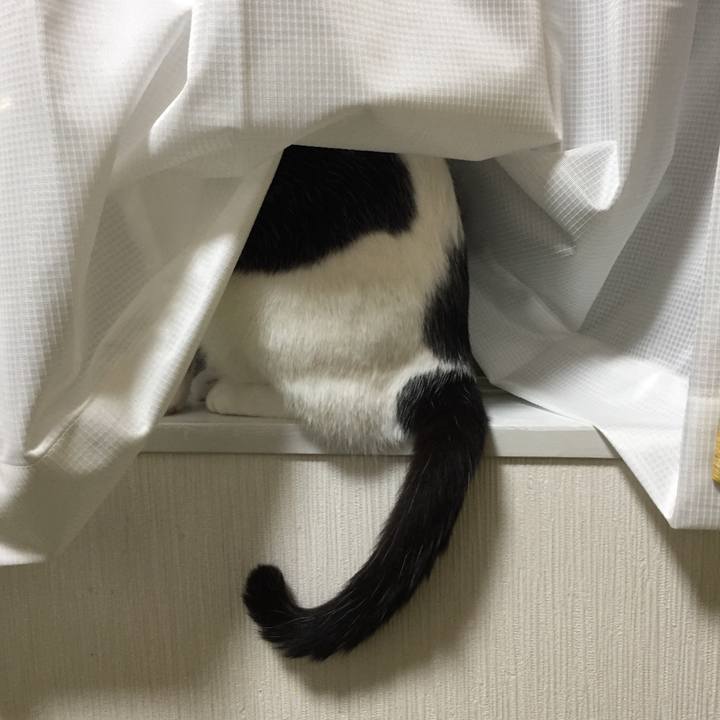 B754aad2 c2b4 46c3 9ff2 7a03da80e376