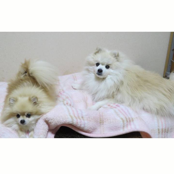 B7553602 1ff4 4428 bf6d 95d980716814