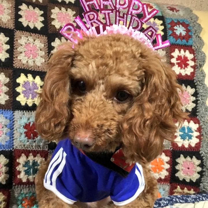 B755c0cd 34d1 40ab 8ab1 48cb34db6715