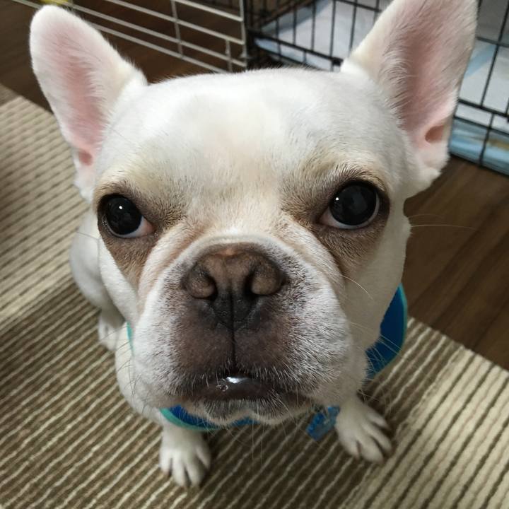 B755ebad 1f16 485f bb6b 030c65e7e465