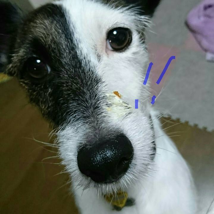 B7563d69 e59f 4295 b2e0 64cae4d3faa1