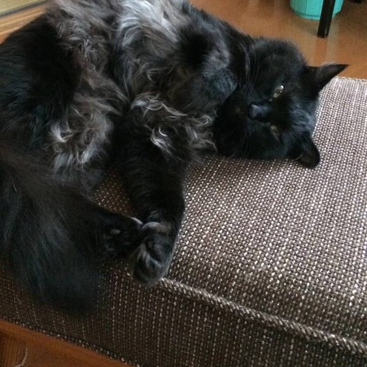 B7565a58 9199 4162 b8af e6dc2bc5c8a5