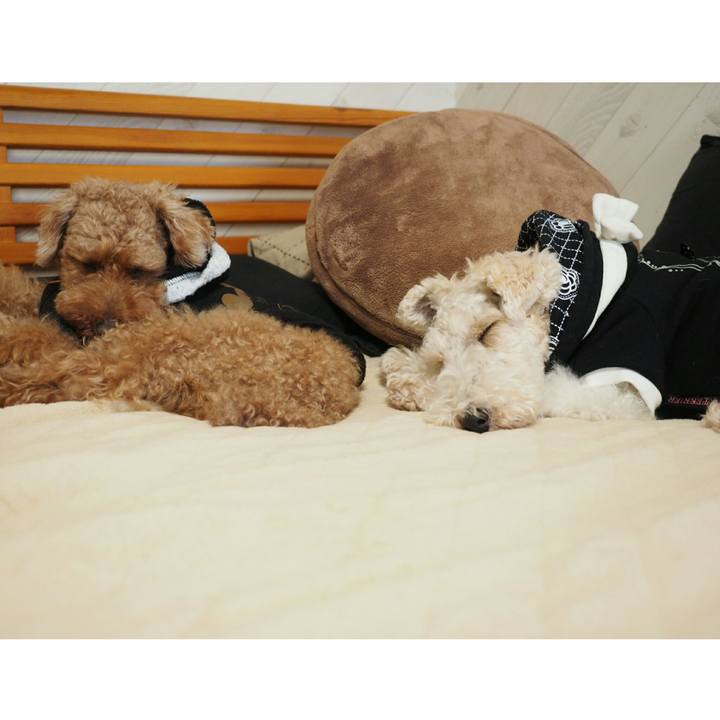 B75663a4 d6b6 420e 89ae 7a7fbd7fed8a