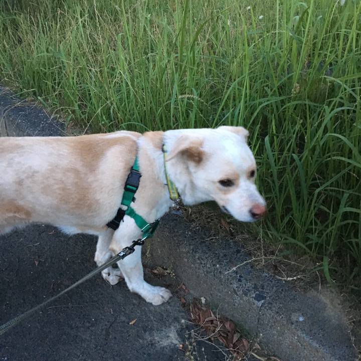 B756fffd dc58 42ff bfcd 4ba53f69c45c