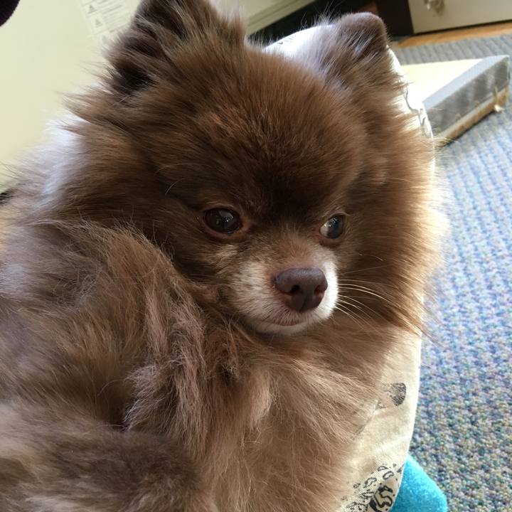 B75737ec a161 4ae3 99b6 6116c8a73b6a