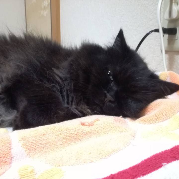 B757b0f1 1c46 4fbb 86ba 0da6dc785021