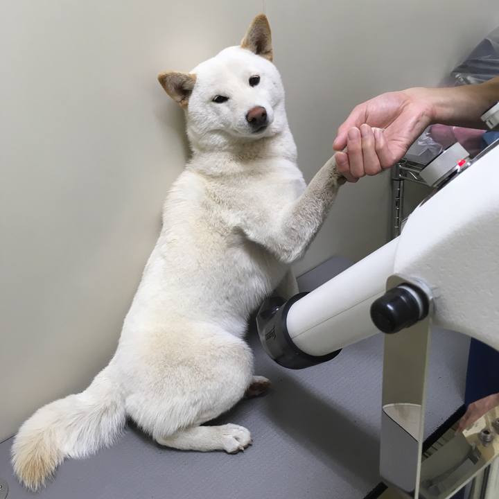 B7580848 3978 4369 a3a9 7cd5db1df096