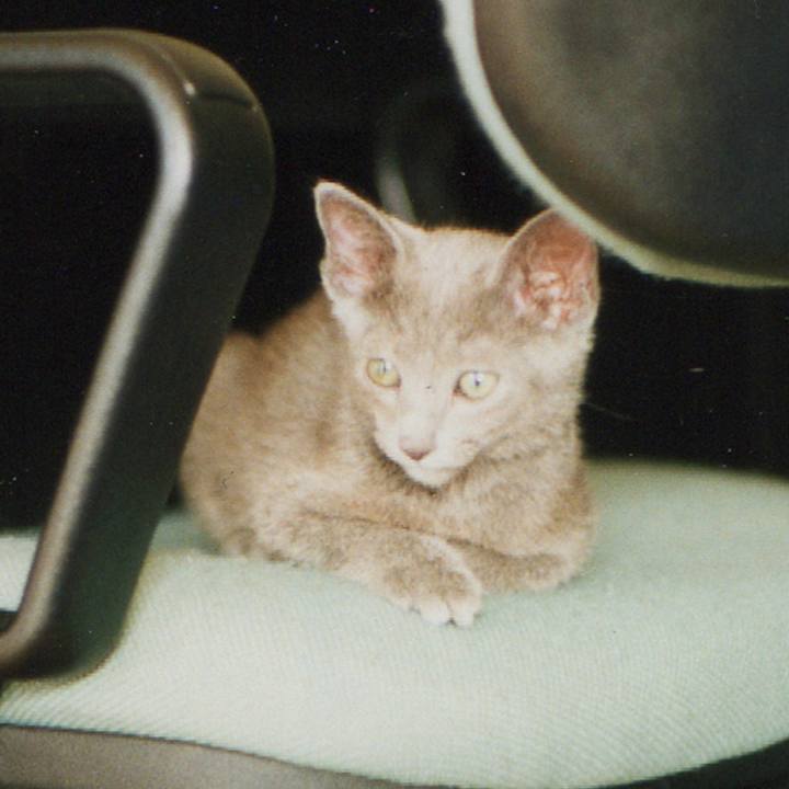 B758bdf4 6a99 4d18 98f3 53581dbfb0ce