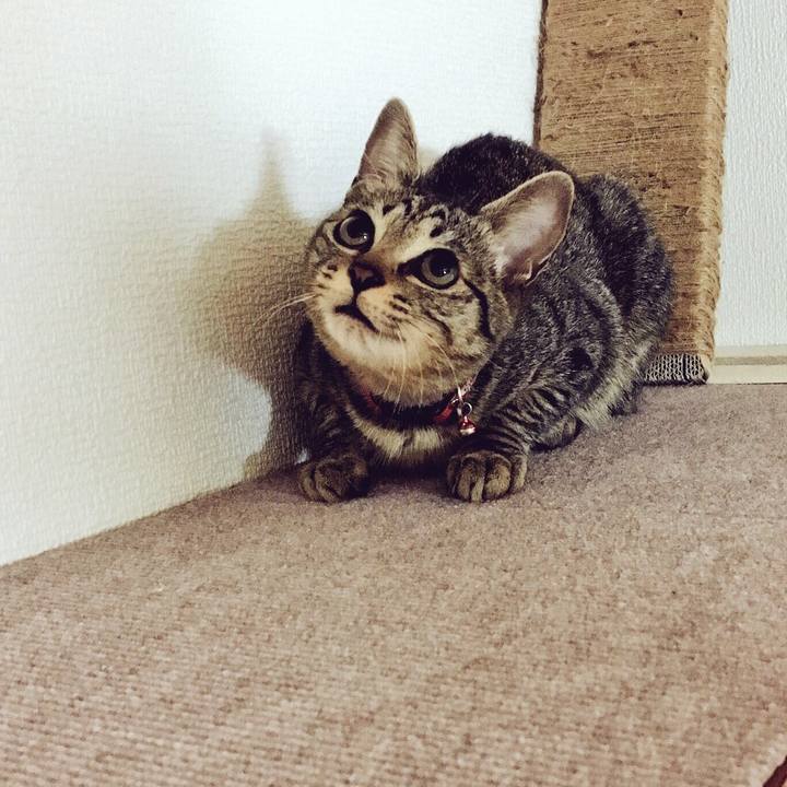 B75921d3 e0d4 4593 899b 8ce456082125