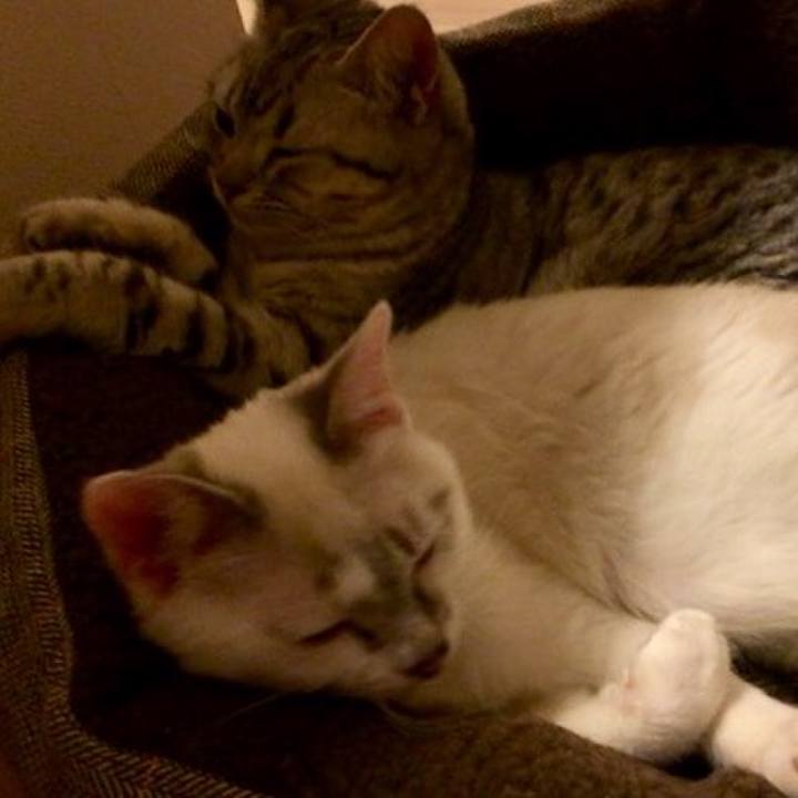 B7595c08 dfab 4257 bb4f fda6666b43db