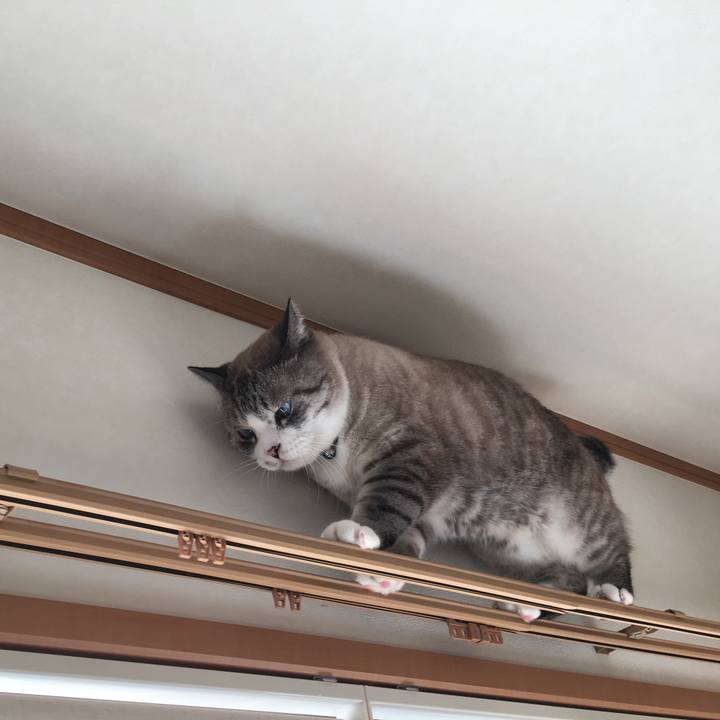 B759864e 41fd 440d b2a3 d630f434e4b8