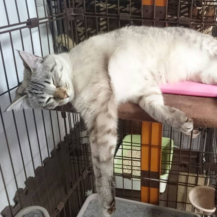 B759a08c 2fad 42ec b4f3 4926fbb71796