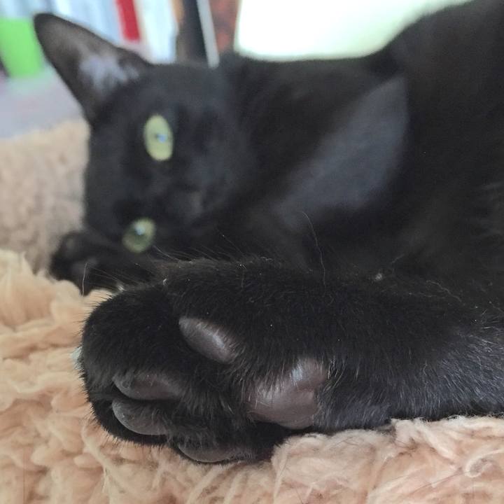 B759cdf7 b920 4695 80f5 70c41cf89daa