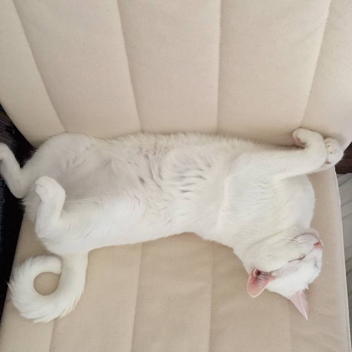 B75a5bf3 14c2 4a08 b8d3 3cac9a2f23bd