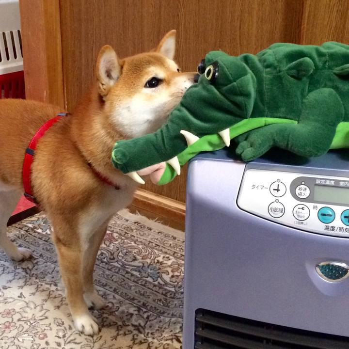 B75adb9d 8bf7 4663 82c5 16e5ed08d38b