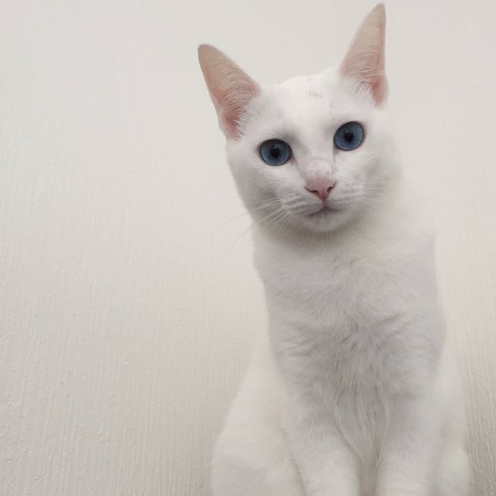 B75ae0a9 e4a0 43f5 8f3d 26e5fdb76962