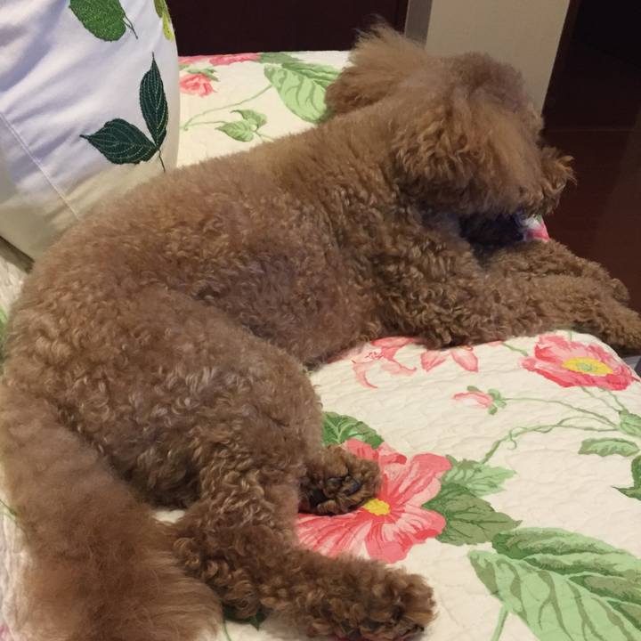 B75b77f7 7b69 476d a39e f6fbce983413