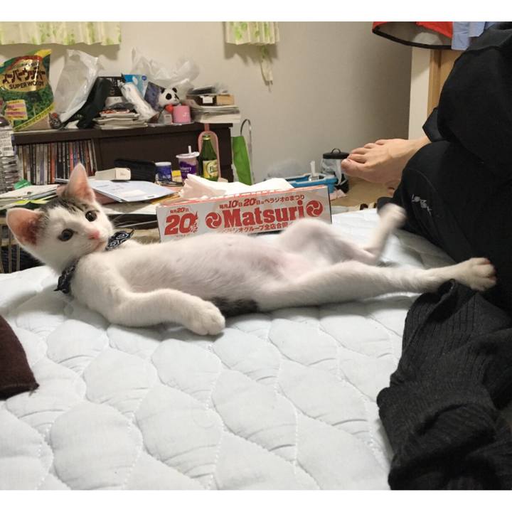 B75c1658 5835 4936 b51d 6dc784652a55