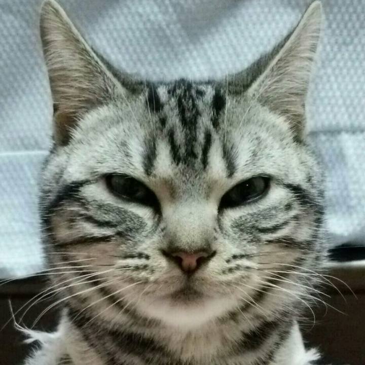 B75cc16c 4ebf 48fe b5f2 407c240291eb