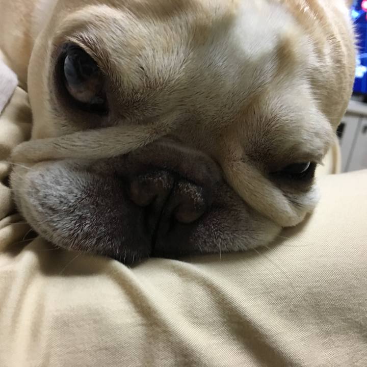 B75d0a1a 6c1a 4bec b361 bd6bf34c82cc