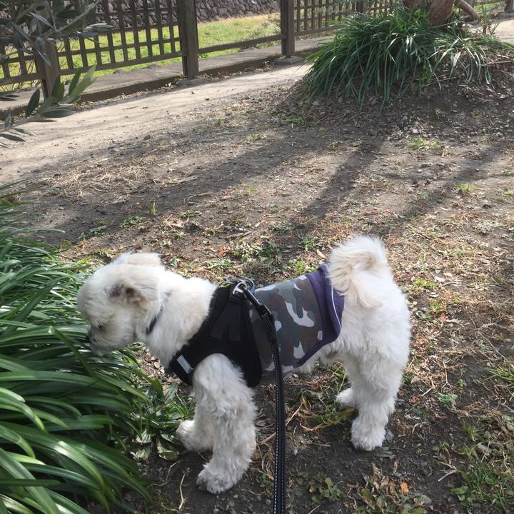 B75d581b 3a4a 43e8 b244 acc19bee9fb1