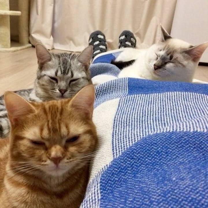 B75d844f 9964 4259 b943 3c7a58851fed