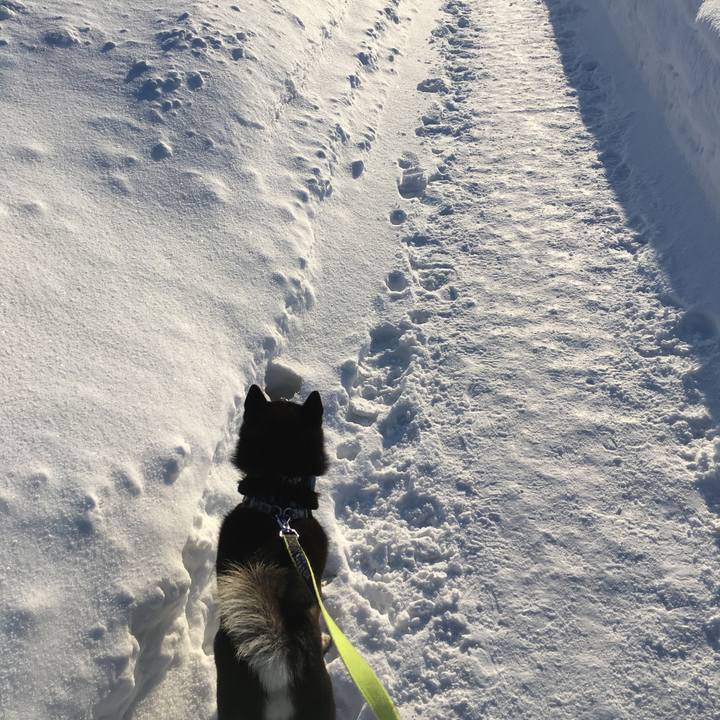 B75e244a 3871 4f25 b07b 2989e8849459