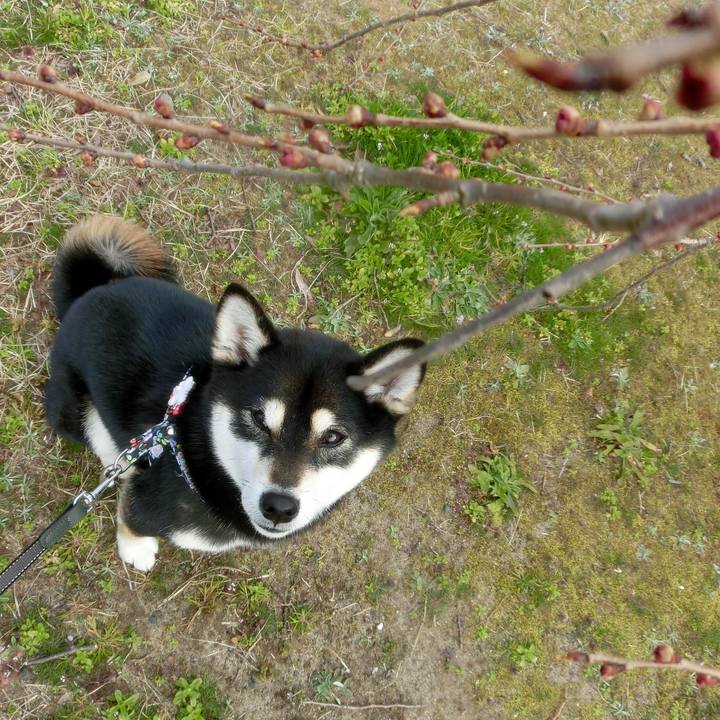 B75eb02c 4ee3 4496 85a2 342ad0a1dd35