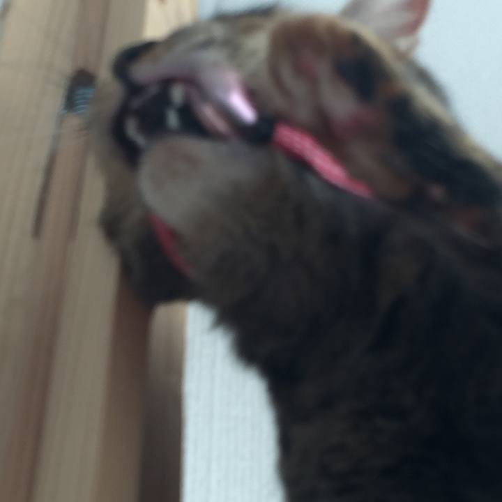 B75eded9 2ca0 44bc b6dd b21faf8a42e9