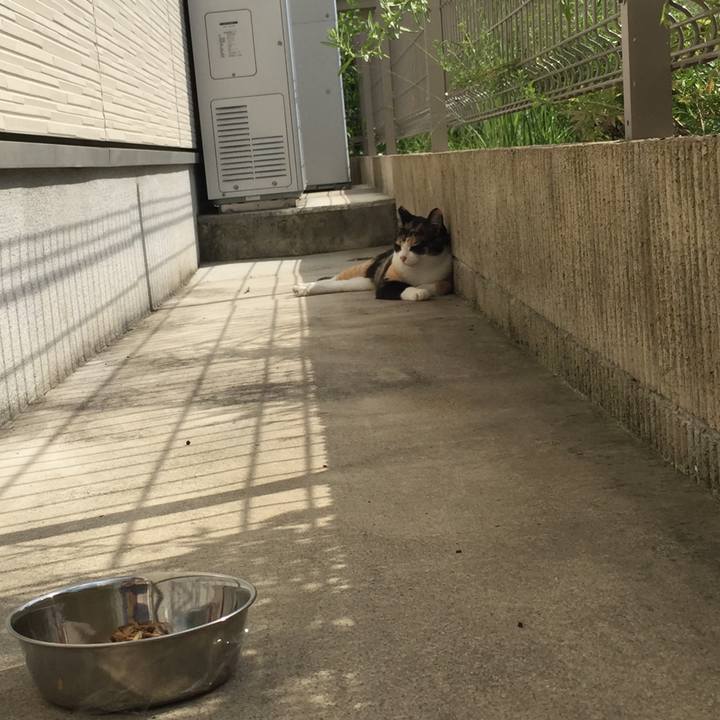 B75f38e0 6672 4618 93e0 66041149d8a3