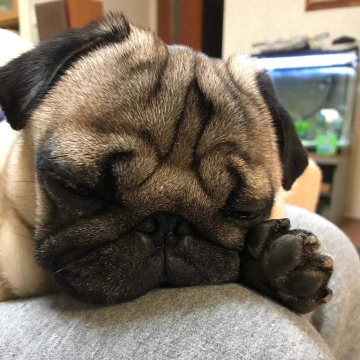 B7606ecc b6b8 4711 b88c 6600e5b06f07