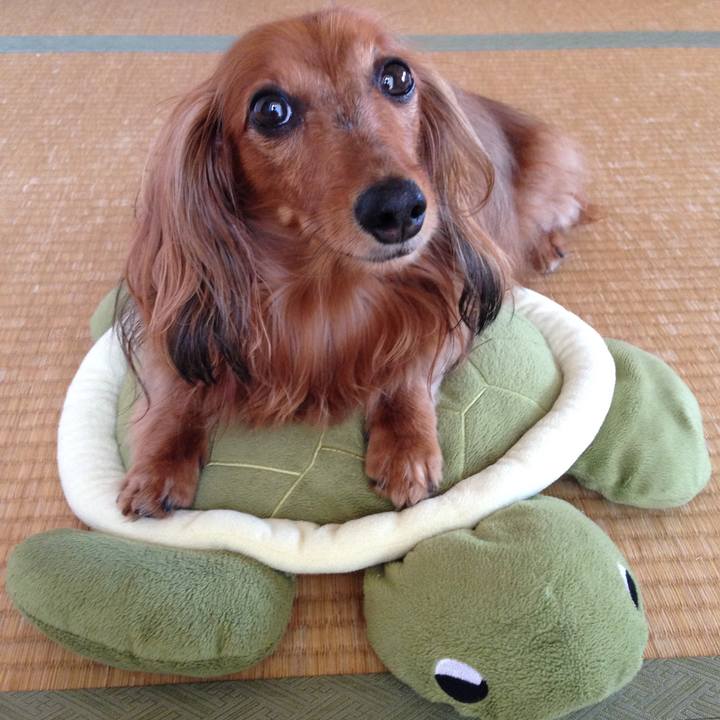 B760954d f3c8 446d a806 b0c37c2e700c