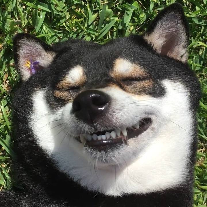 B7624858 ec35 4608 9099 667d28f322bf