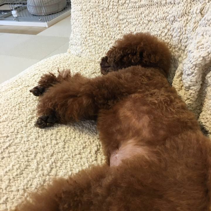 B762ec4e 7bc5 4c6c be9d 97876b045758