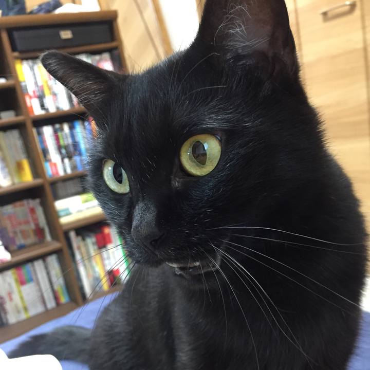 B762fef4 6cfd 4e86 ba76 8282948b2aca