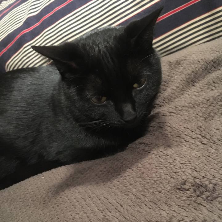 B7638ff7 dc94 4c61 bcc0 01821c0b9bdd