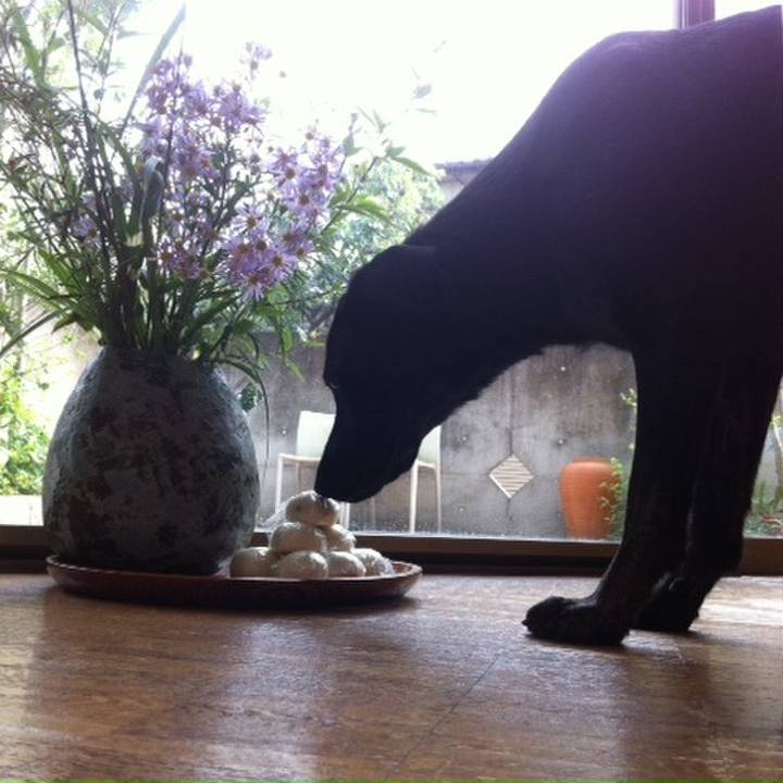 B763ecb2 ec6f 487a 82e6 a1a43e49e5b6