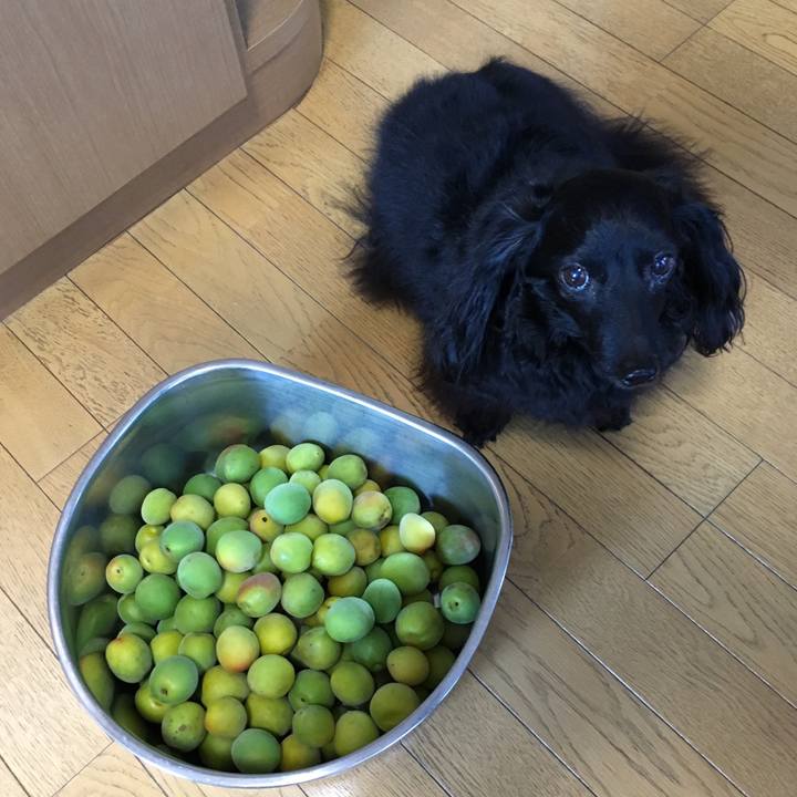 B7647659 8f05 4d4c a871 7a912ec23c34