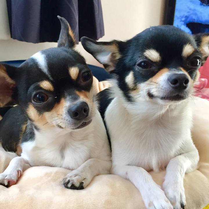 B764acbb 7fc5 4fe6 90ea 578ff1c72b1a