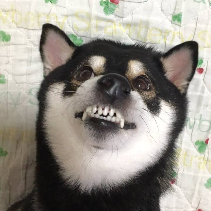 B7653184 1c6d 4863 b58b bd88f6e0e011