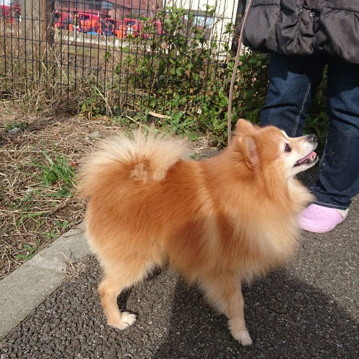 B765fef3 3f87 4278 a517 13be6585638b