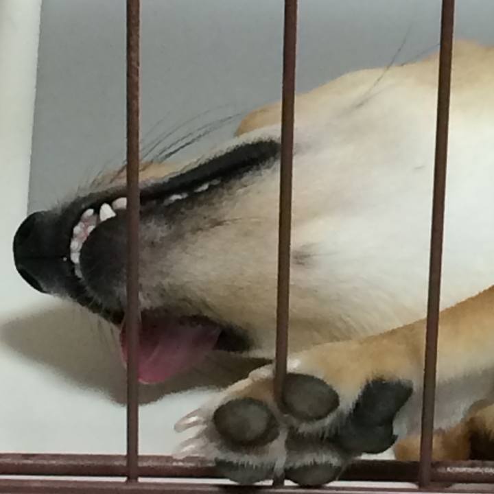 B7660733 d565 4364 b9d6 19b0fd26a21c