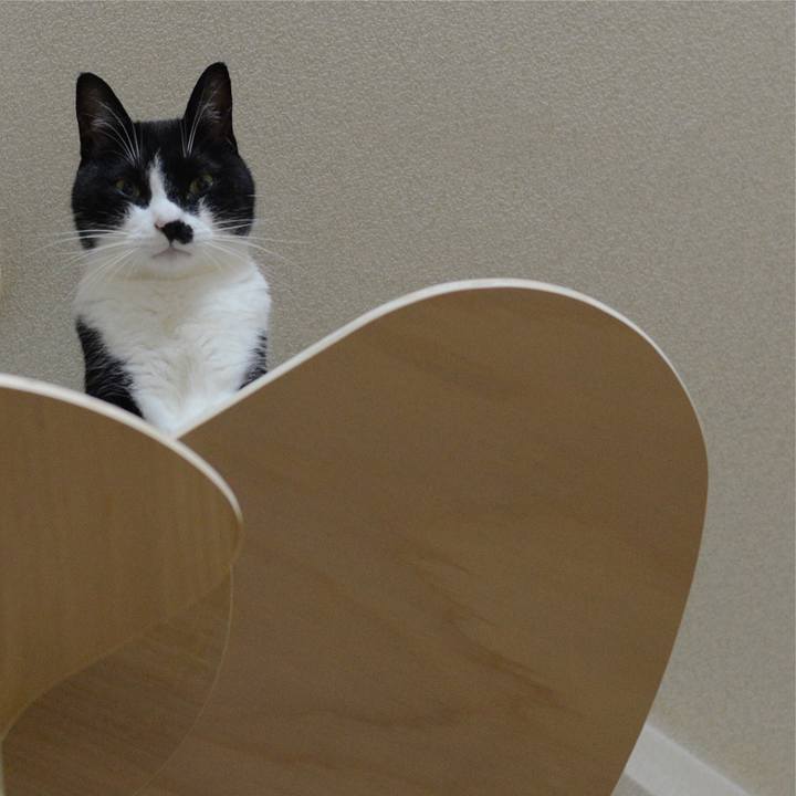 B766f5f7 d8a1 49a3 88ac e2cf1cfa0e6b