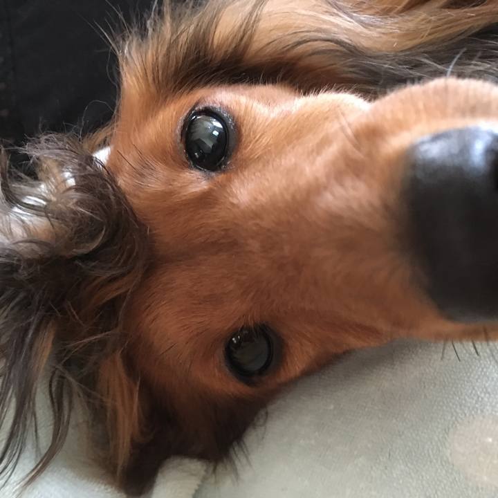 B7670386 dee0 4ce1 93f8 23985eca2c75